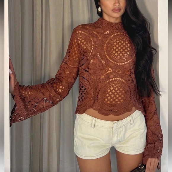 Brown Lace Women Top - Picture 1 of 7